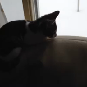 無事、到着しましたの画像