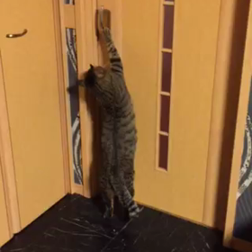 ざまーみろの画像