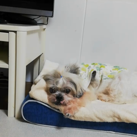 今日のいっくんの画像