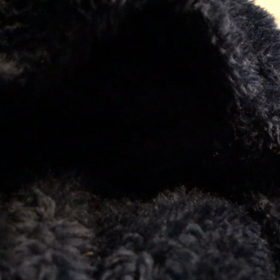 ポケットしっぽちゃんの画像