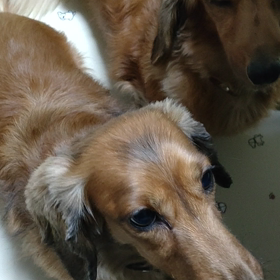 今年も…の画像