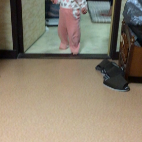 全員集合‼︎の画像