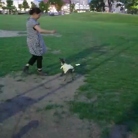 ラピ初構成　その1の画像