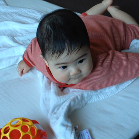 車で遊ぶの画像