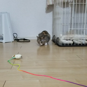 狩りの練習の画像