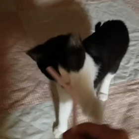 可愛すぎ(*´˘`*)♡の画像