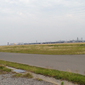 飛び立て！の画像