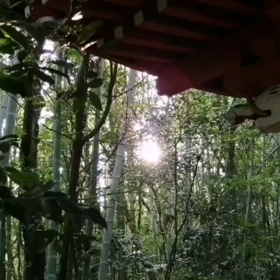 雪と龍#雪 #雪景色 #吹雪 #龍神様 #龍 #龍神 #動画撮影 #動画作...の画像