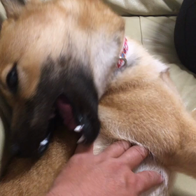 揉んだみんの画像