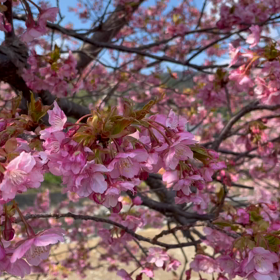 動画も(≧∀≦)の画像