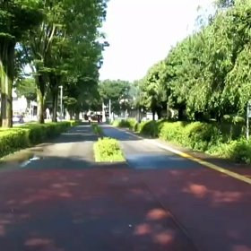 8月1日 ロード練習④の画像