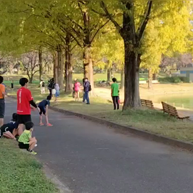 11/3　ミニ駅伝⑪の画像