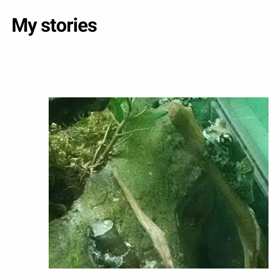 もうすぐ17ですの画像