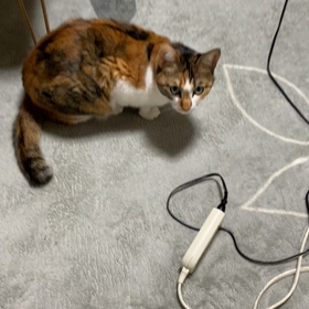 もなかちゃん　有り難うの画像