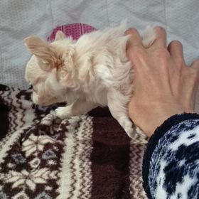 どんだけ～？の画像