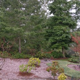 初雪ですの画像