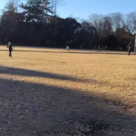 12/23 ジャベリックスロー①の画像