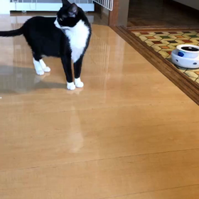 優ちゃんの経過の画像