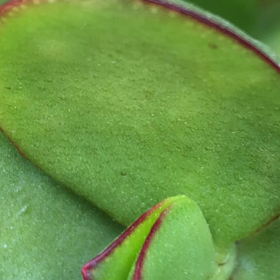 4月30日のこえの画像