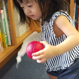 ３泊４日の画像