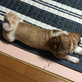 嬉しくないみたいだね。の画像