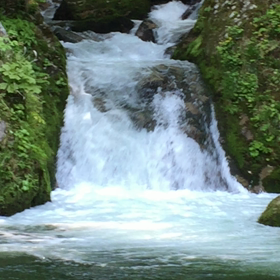 一瞬でα波を出そう(*^^*)の画像