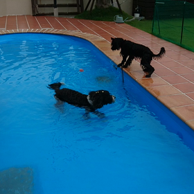 どうするのかなの画像