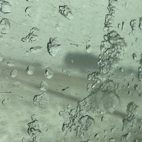 鶴岡へ！！雪が降っていました。の画像