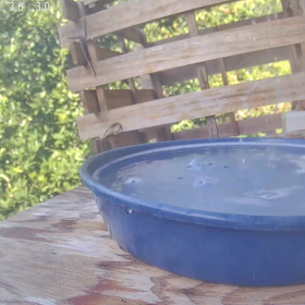 すぎぴたんの事件簿シーズン3　380話（本格的に水浴び、メジロ）の画像