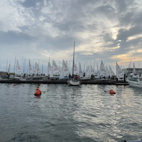 チャーリー気になるの画像