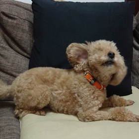 【親父、体は大切にな❗】の画像