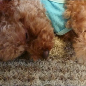 この記事の画像