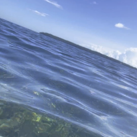 天国の　島！　シャワルガ―オ～　第　二日　島　トーア　（２）の画像