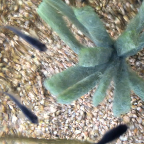 天気回復の画像