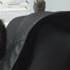 ”アンヨが上がるでち♪”の画像