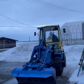 今日も今日とての画像