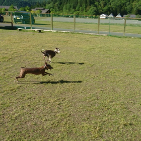 名前の由来…何ですか？の画像