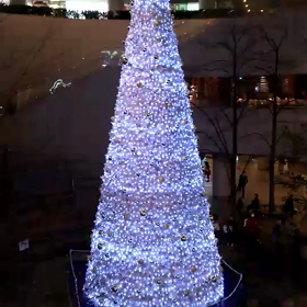 クリスマスツリーの画像