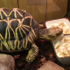 バナナ大好き♡の画像