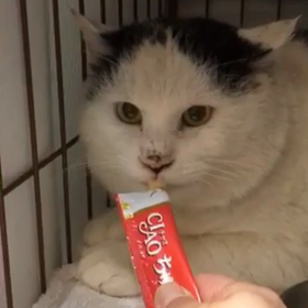 風太通信！動画ありの画像