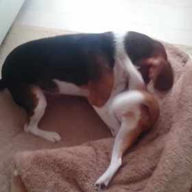 朝から元気いっぱい＼(^o^)／の画像