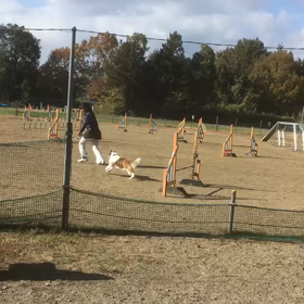 コース練習の画像