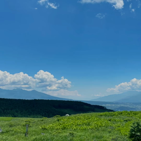 夏の動画の画像