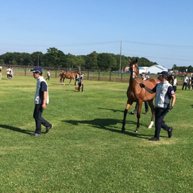 シルクホースクラブ2018募集馬 今年の一番馬が確定！（個人的）の画像