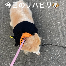 2日ぶりのリハビリの画像