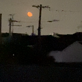 ビックリの画像