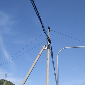 交通事故⁉️カラスが・・の画像