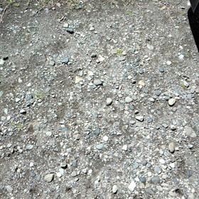 昨日の雨のせいでエネルギーフル満タンの怪獣たちをどう処理しようか⁉の画像