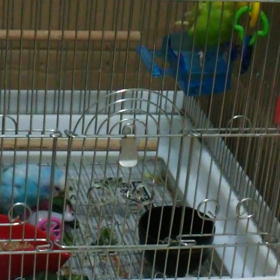 暴れん坊❗の画像