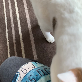 チャップの画像